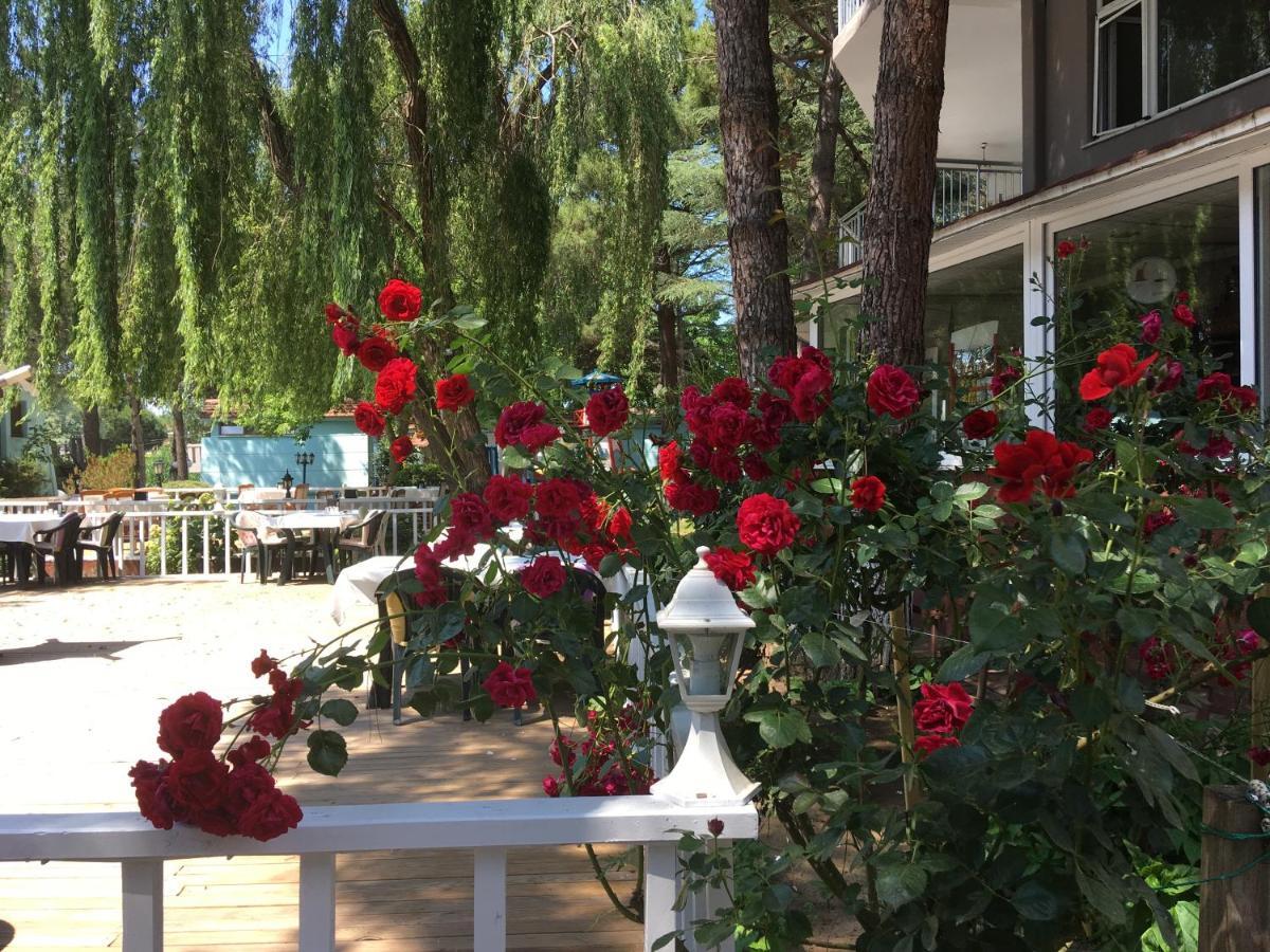 Shila Doert Mevsim Tatil Koyu Otel Ağva Dış mekan fotoğraf