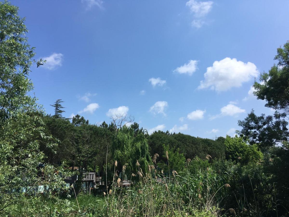 Shila Doert Mevsim Tatil Koyu Otel Ağva Dış mekan fotoğraf