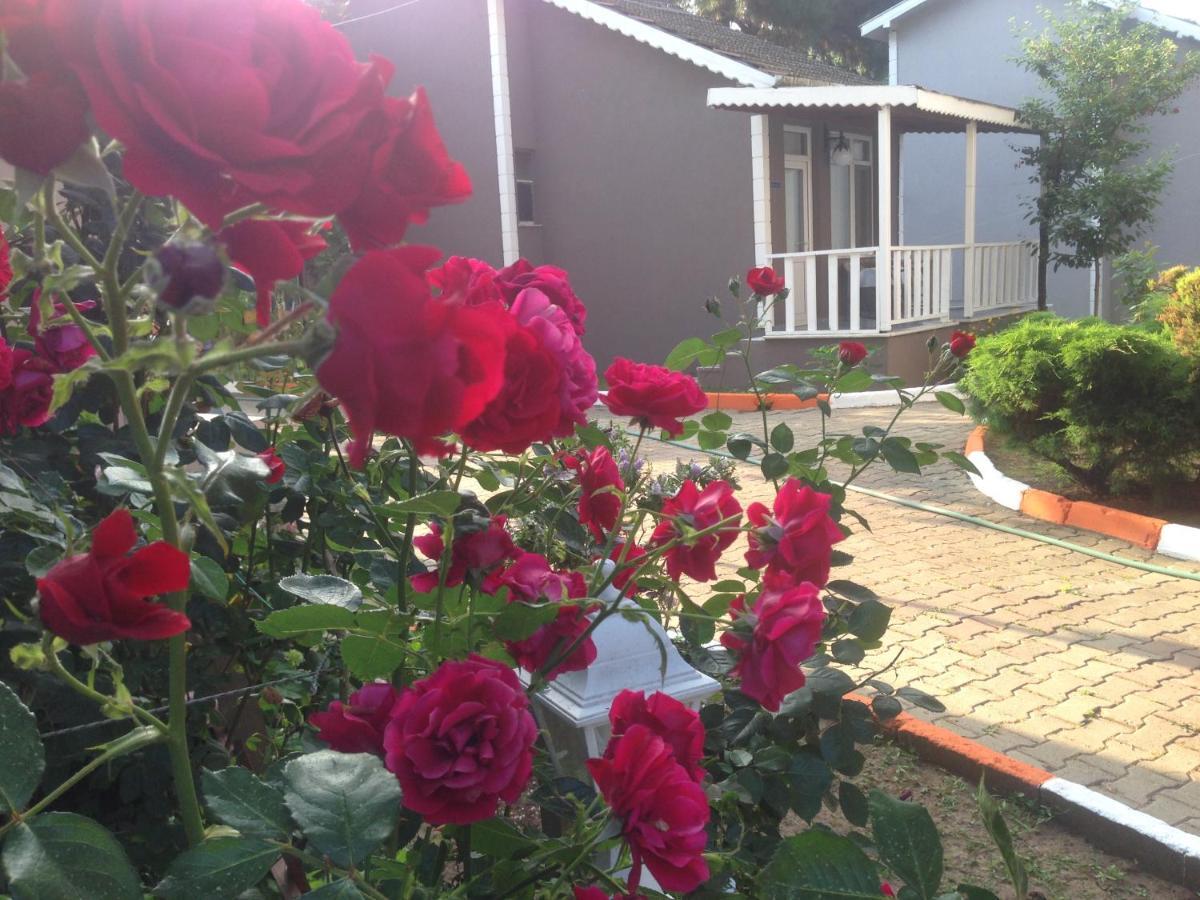 Shila Doert Mevsim Tatil Koyu Otel Ağva Dış mekan fotoğraf